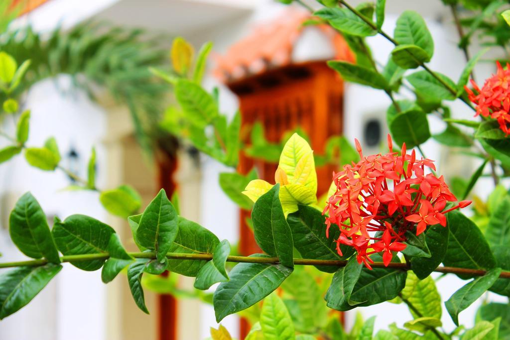 Casa Marques Del Pedregal Villa Cartagena Kamer foto